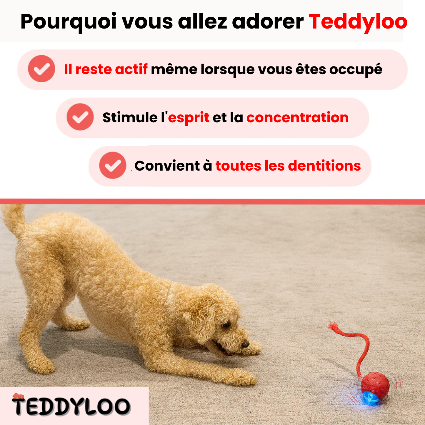 Teddyloo™ – Balle interactive pour la stimulation