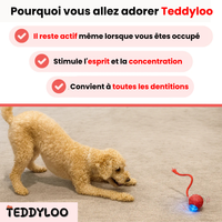 Teddyloo™ – Balle interactive pour la stimulation